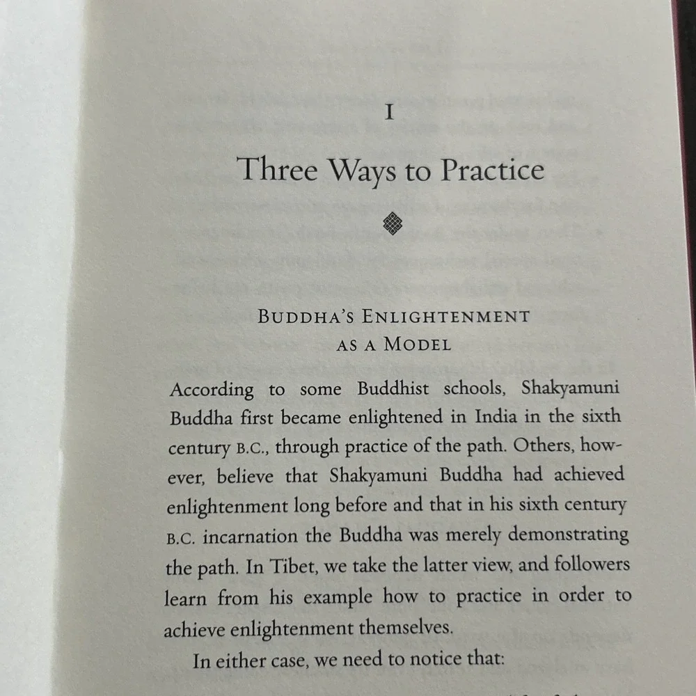 How To Practice : The Way To A Meaningful Life Dalai Lama 2002 Dust Cover